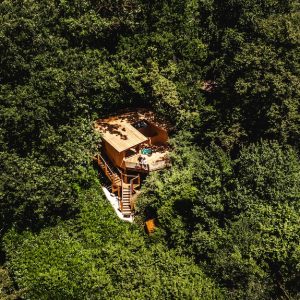 Cabane perchée dans les arbres, entourée dune dense forêt verdoyante.