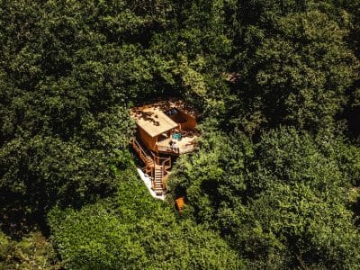 Cabane perchée dans les arbres, entourée dune dense forêt verdoyante.
