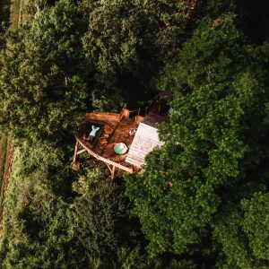 Cabane perchée dans les arbres, entourée de verdure et offrant une vue panoramique.