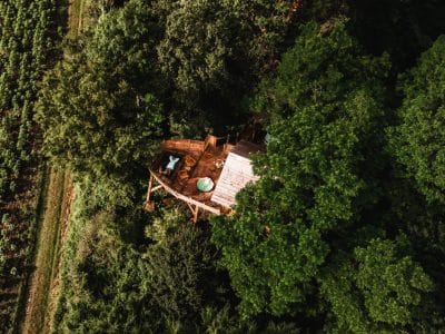 Cabane perchée dans les arbres, entourée de verdure et offrant une vue panoramique.