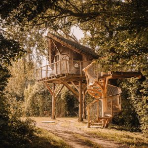 Cabane perchée dans les arbres, avec une belle terrasse et un escalier en colimaçon.