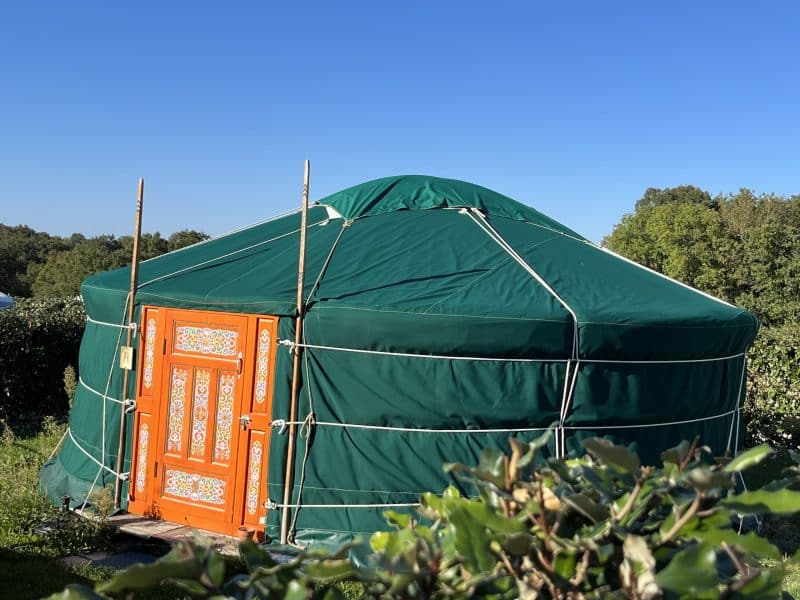 Yourte verte avec porte en bois ornée, entourée de verdure sous un ciel bleu.