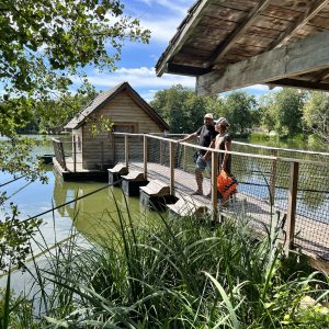 Hébergement insolite en cabane sur leau, ponton en bois entouré de verdure.