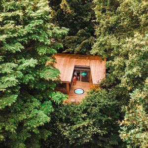 Cabane perchée dans les arbres, entourée de verdure luxuriante et dune terrasse en bois.