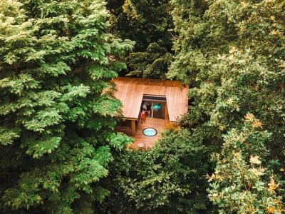 Cabane perchée dans les arbres, entourée de verdure luxuriante et dune terrasse en bois.