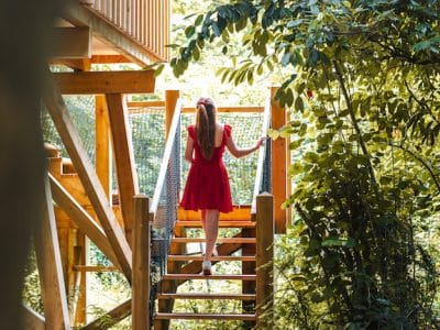 Cabane perchée dans les arbres, accès par un escalier en bois, entourée de verdure.