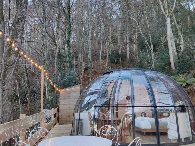Hébergement en bulle transparente, entouré darbres, avec table et chaises blanches.