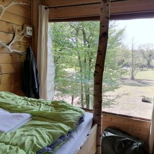 Cabane en bois avec vue sur la nature, lit douillet et décoration chaleureuse.