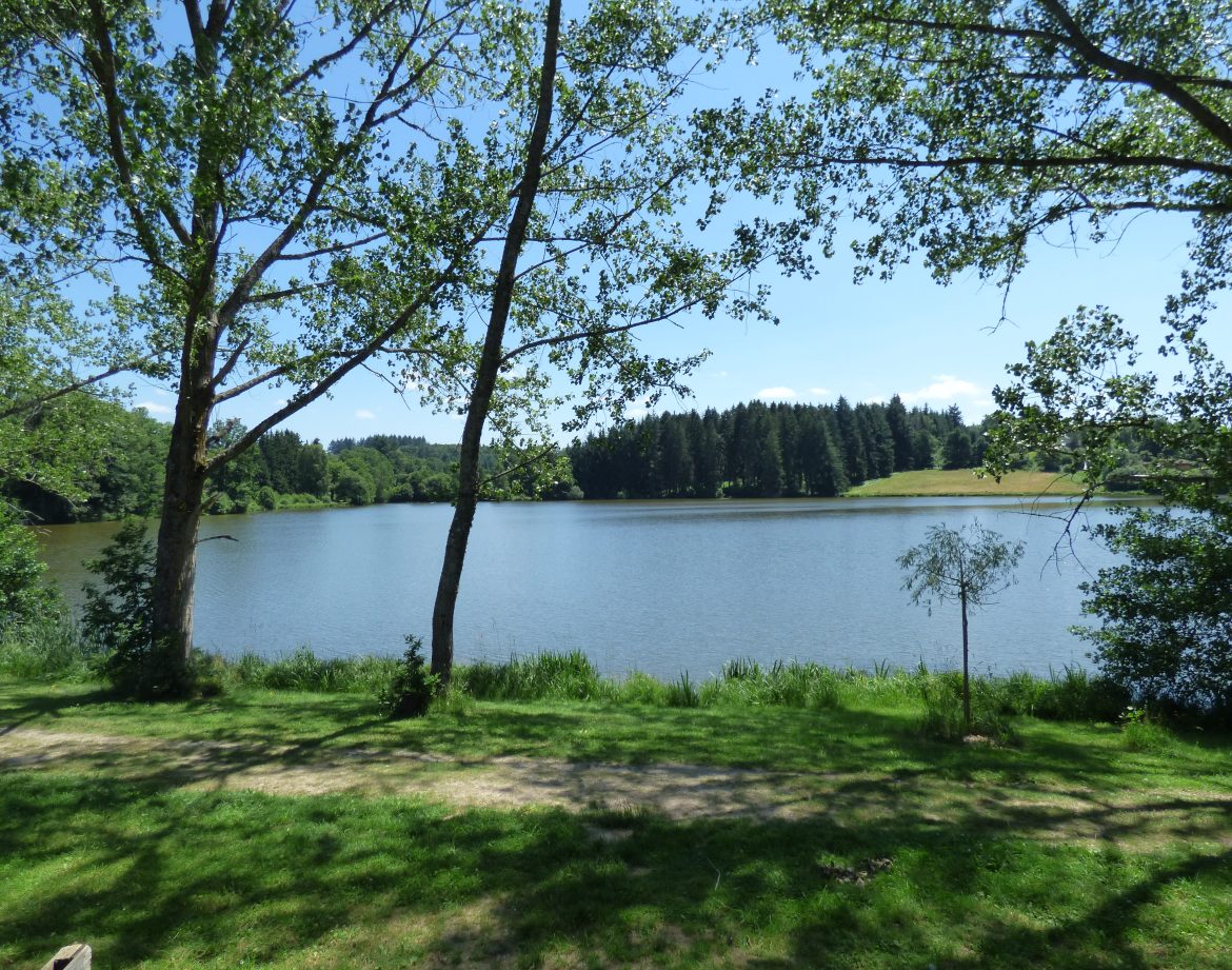 Hébergement insolite en Auvergne, avec vue sur un lac entouré darbres verdoyants.