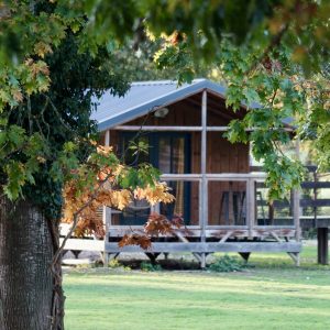 Cabane en bois dans un cadre verdoyant, entourée darbres aux feuilles colorées.