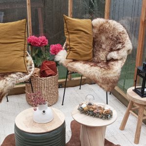 Hébergement insolite en serre à Grand-Est, avec fauteuils en fourrure et décor floral.