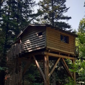 Cabane perchée en bois, entourée de sapins, offrant une vue imprenable sur la nature.