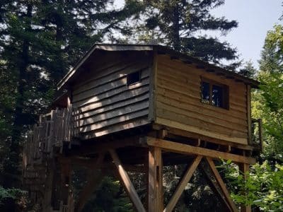 Cabane perchée en bois, entourée de sapins, offrant une vue imprenable sur la nature.