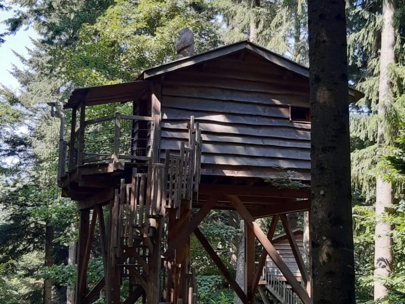 Cabane perchée en bois dans les arbres, entourée de verdure luxuriante.