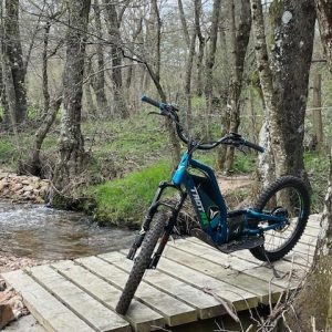 Vélo électrique sur un pont en bois, entouré de verdure en Auvergne-Rhône-Alpes.