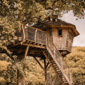 ChouetteCabane_JustineB-008