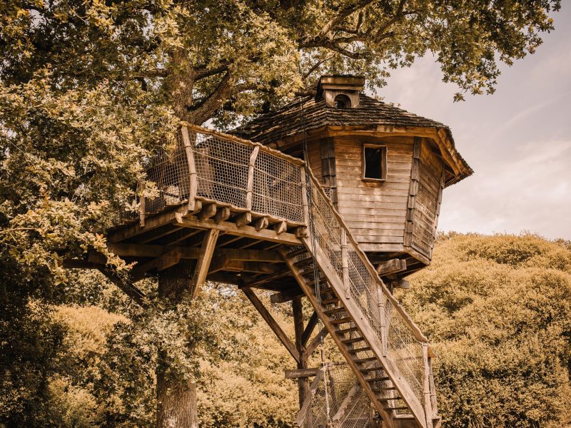 Cabane dans les arbres en bois, perchée sur un grand chêne, offrant une vue panoramique.