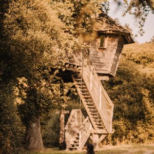 ChouetteCabane_JustineB-212