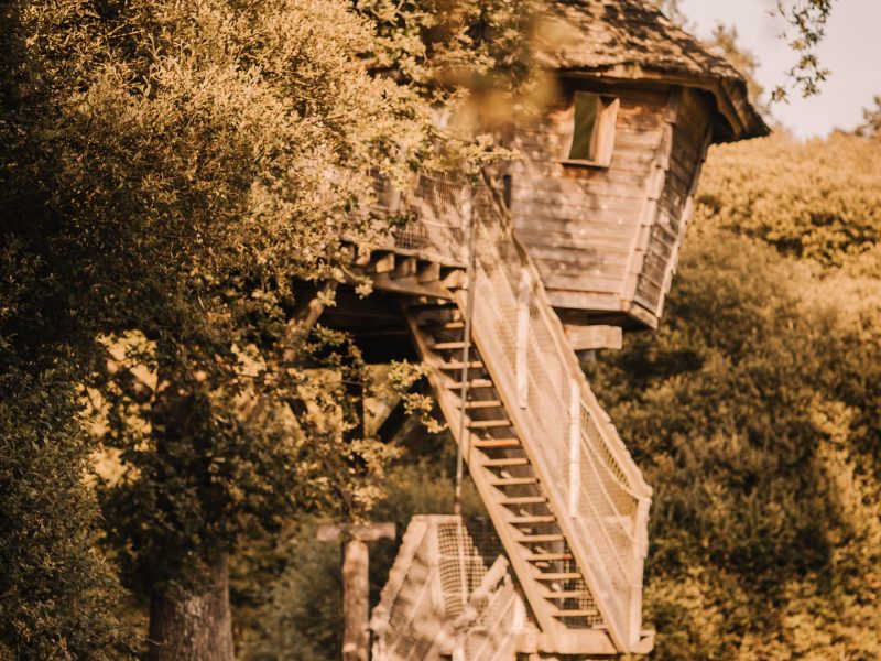Cabane dans les arbres, perchée au milieu de la verdure, avec un accès en escaliers.