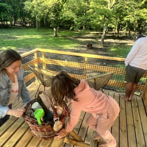 Hébergement insolite en cabane, terrasse en bois avec vue sur la nature verdoyante.