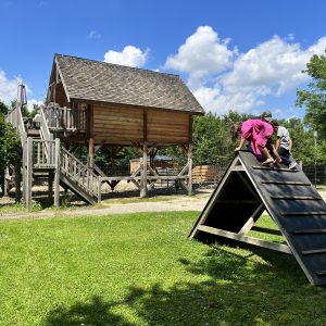 Cabane perchée en Auvergne-Rhône-Alpes, avec aire de jeux en bois et verdure.