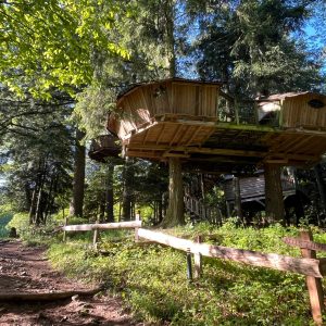 Cabane perchée dans les arbres, entourée de verdure et accessible par un sentier.