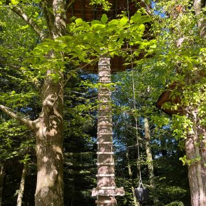 Cabane perchée dans les arbres, entourée de verdure luxuriante en Auvergne-Rhône-Alpes.
