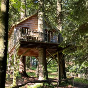 Cabane perchée dans les arbres, entourée de verdure, offrant une vue apaisante.
