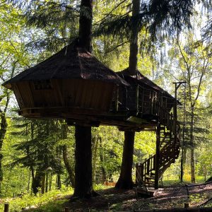Cabane perchée dans les arbres, entourée de verdure luxuriante en Auvergne-Rhône-Alpes.