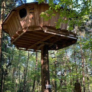 Cabane perchée en bois dans les arbres, entourée de verdure en Auvergne-Rhône-Alpes.
