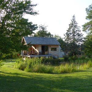 Cabane en bois au bord dun étang, entourée de verdure luxuriante.