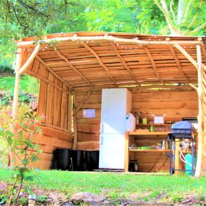 Cabane en bois dans la nature, équipée dun frigo et dun barbecue.