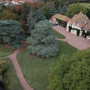 Château élégant en Auvergne-Rhône-Alpes, entouré de verdure et dune piscine.