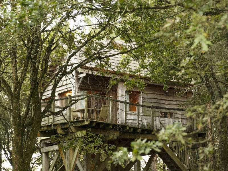Cabane perchée dans les arbres, entourée de verdure et équipée dun hamac.