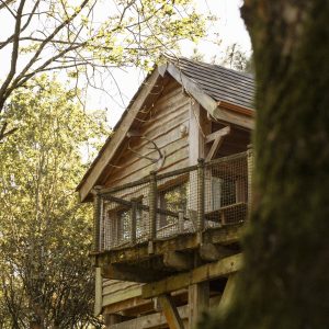 Cabane perchée en bois, entourée darbres verdoyants dans les Pays de la Loire.