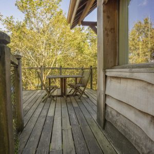 Cabane perchée en bois avec terrasse en bois et vue sur la nature verdoyante.
