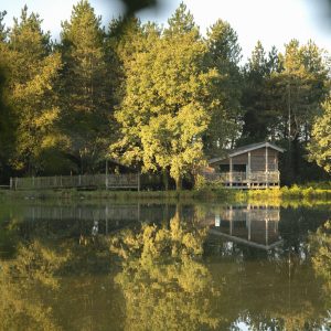 Cabane sur pilotis au bord dun lac, entourée darbres verdoyants.