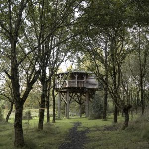 Cabane perchée dans les arbres, entourée de verdure au Pays de la Loire.
