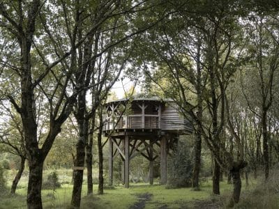 Cabane perchée dans les arbres, entourée de verdure au Pays de la Loire.