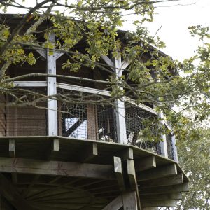 Cabane perchée dans les arbres, entourée de feuillage verdoyant.