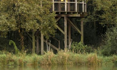 La cabane du hibou