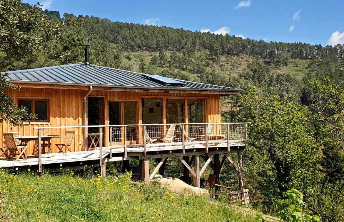 Cabane en bois perchée, offrant une vue panoramique sur la nature verdoyante.