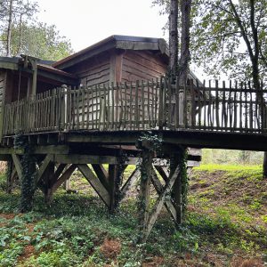 Cabane perchée en bois, entourée darbres, offrant une vue paisible sur la nature.