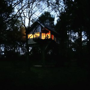 Cabane perchée illuminée dans les arbres, entourée de nature paisible.