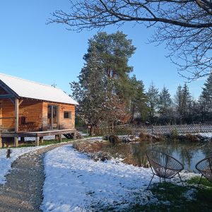 Cabane en bois au bord dun étang, entourée de neige et de verdure.