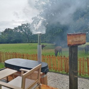 Hébergement insolite avec jacuzzi, vue sur des moutons dans un cadre verdoyant.