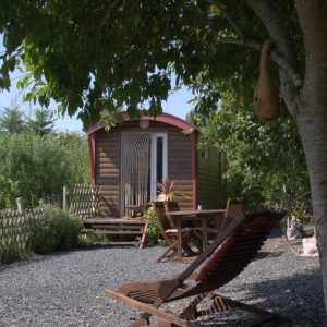Charmante roulotte en bois sous un arbre, avec chaises longues et jardin verdoyant.