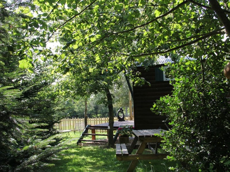 Cabane en bois entourée darbres, avec une terrasse et un coin pique-nique.