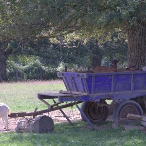 Ecodomaine Rever Ailleurs en Pays de la Loire