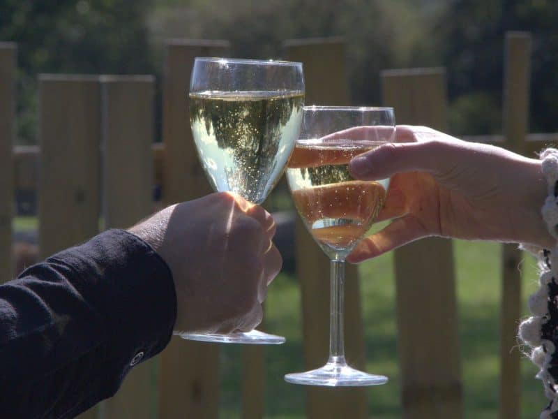 Verres de vin pétillant levés, ambiance conviviale près dun hébergement en pleine nature.